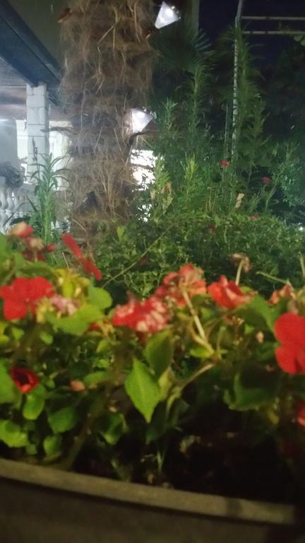 Apartments Ana Dojran Εξωτερικό φωτογραφία