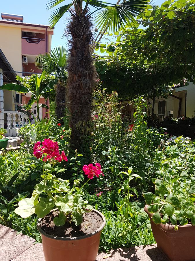 Apartments Ana Dojran Εξωτερικό φωτογραφία
